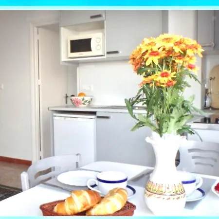 Spain Flats - Nsf55 Perdigon Nerja